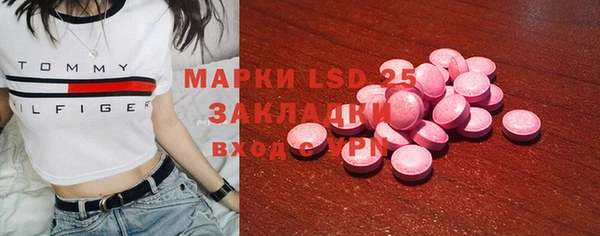 ГАЛЛЮЦИНОГЕННЫЕ ГРИБЫ Надым