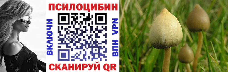 Псилоцибиновые грибы Psilocybe  Купить где  Дзержинский 